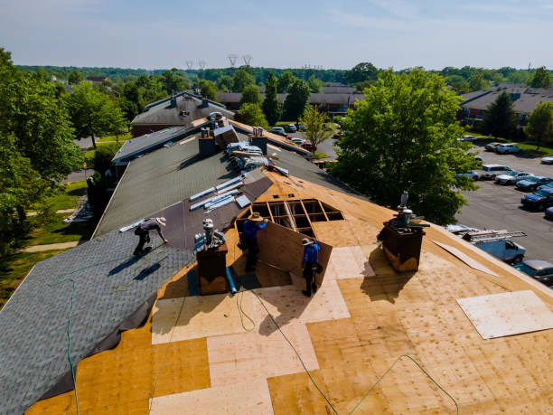 Roof Gutter Cleaning in Roland, AR