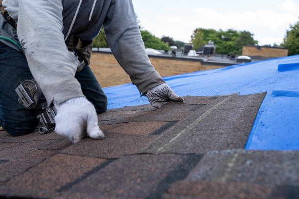 Gutter Installation and Roofing in Roland, AR