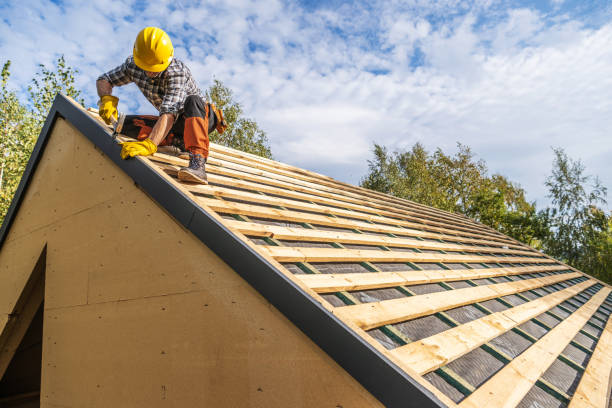 Best Roof Gutter Cleaning  in Roland, AR
